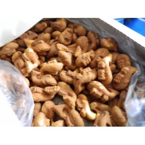 Конвейерная печь "Карусель"